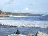 Dscn0412.jpg (27397 byte)