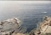 costa2.jpg (21578 byte)