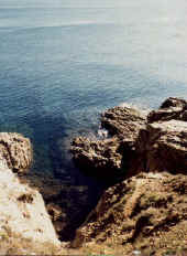 costaalta.jpg (25736 byte)