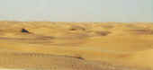 deserto.jpg (8789 byte)