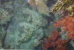 1File0020.jpg (28730 byte)