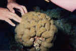 1File0027.jpg (23275 byte)