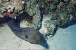1File0034.jpg (33744 byte)