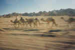 File0006.jpg (18697 byte)