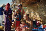 File0008.jpg (41076 byte)