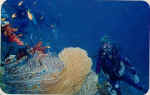 File0003.jpg3.jpg (32687 byte)
