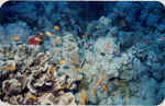 File0007.jpg (32733 byte)