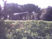 cannone.jpg (79214 byte)