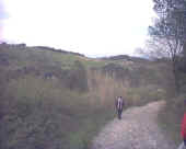 colli.jpg (74117 byte)