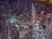 presep1.jpg (67297 byte)