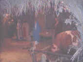 sacr.fam3.jpg (67508 byte)