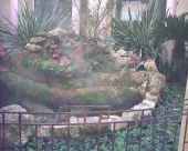 terme casciana.jpg (69135 byte)
