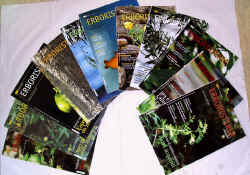 erbodom 2009.jpg (129705 byte)