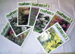 natural1 2001.jpg (116534 byte)