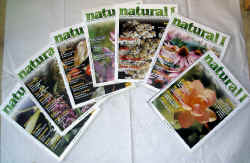 natural1 2002.jpg (109292 byte)