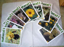 natural1 2003.jpg (107753 byte)