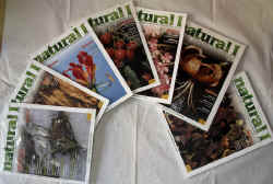 natural1 2004.jpg (94668 byte)