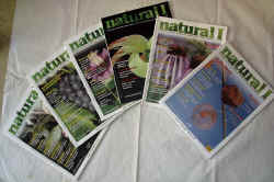 natural1 2006.jpg (84812 byte)
