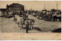 Forte dei Marmi 7.jpg (51404 byte)
