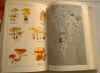 dizionario di botanica 3.jpg (203599 byte)