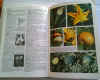 dizionario di botanica  2.jpg (141416 byte)
