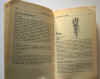 lieutaghi-libro delle erbe 4.jpg (168982 byte)