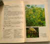 piante medicinali 2.jpg (150388 byte)