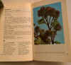 piante medicinali 3.jpg (135612 byte)