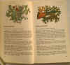 piccola enciclopedia piante medicinali 2.jpg (165239 byte)
