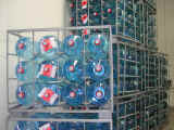Dscn1374.jpg (61415 byte)