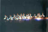 File0002.jpg (47058 byte)