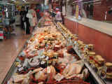 DSCN3646.jpg (73524 byte)