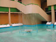 Dscn2143.jpg (30570 byte)