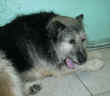 Dscn0095.jpg (30142 byte)