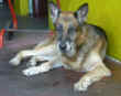 Dscn0100.jpg (21800 byte)
