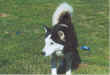 File0001.jpg (32277 byte)