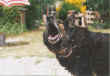 File0002.jpg (20887 byte)