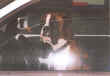 File0003.jpg (16656 byte)