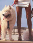 File0005.jpg (23655 byte)