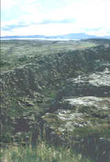 faglia.jpg (421159 byte)
