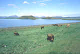 lago vacche.jpg (301276 byte)