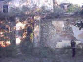 Cappellina.jpg (106256 byte)