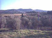 Panorama2.jpg (74440 byte)