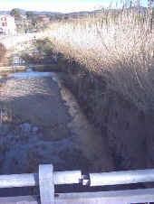 Rio Ardenza2.jpg (85783 byte)