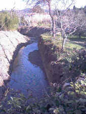 Rio Ardenza.jpg (110143 byte)
