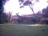 Settore del parco.jpg (72048 byte)