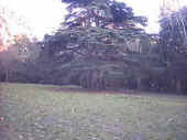prato.jpg (81913 byte)