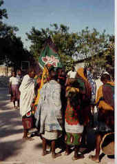 in corteo.jpg (19562 byte)