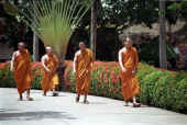 MONKS.jpg (107380 byte)