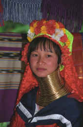 PADUANG.jpg (91010 byte)